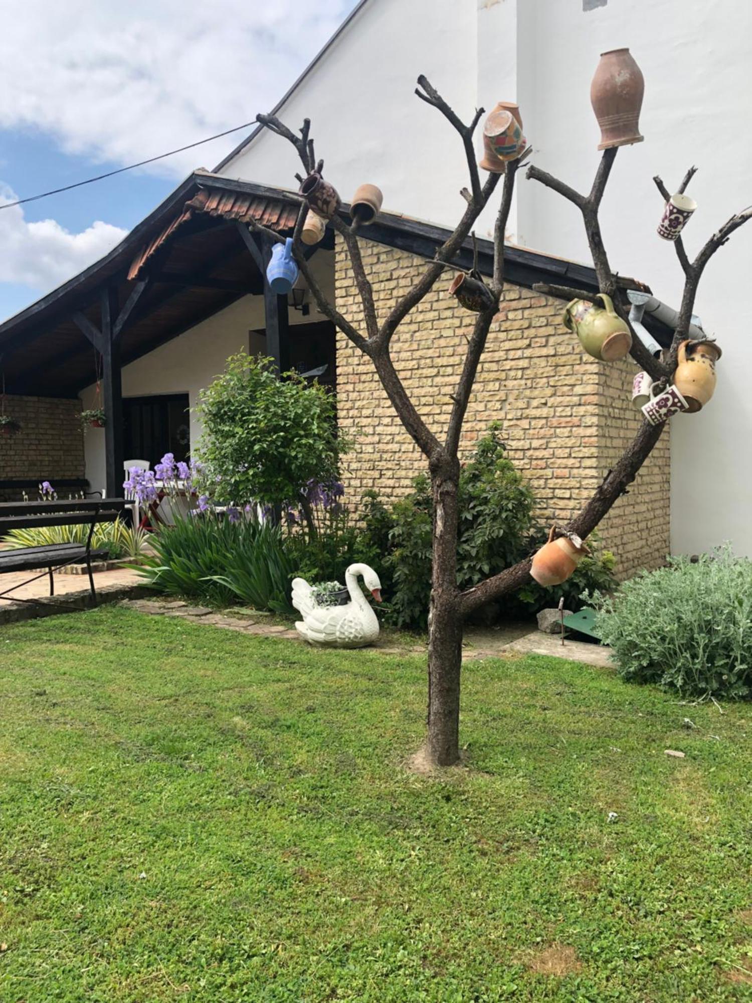 Guest House Anna Vendeghaz Svetozar Miletic المظهر الخارجي الصورة
