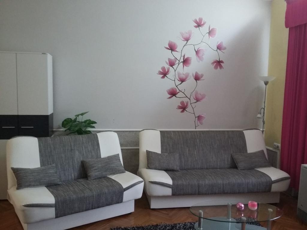 Guest House Anna Vendeghaz Svetozar Miletic المظهر الخارجي الصورة